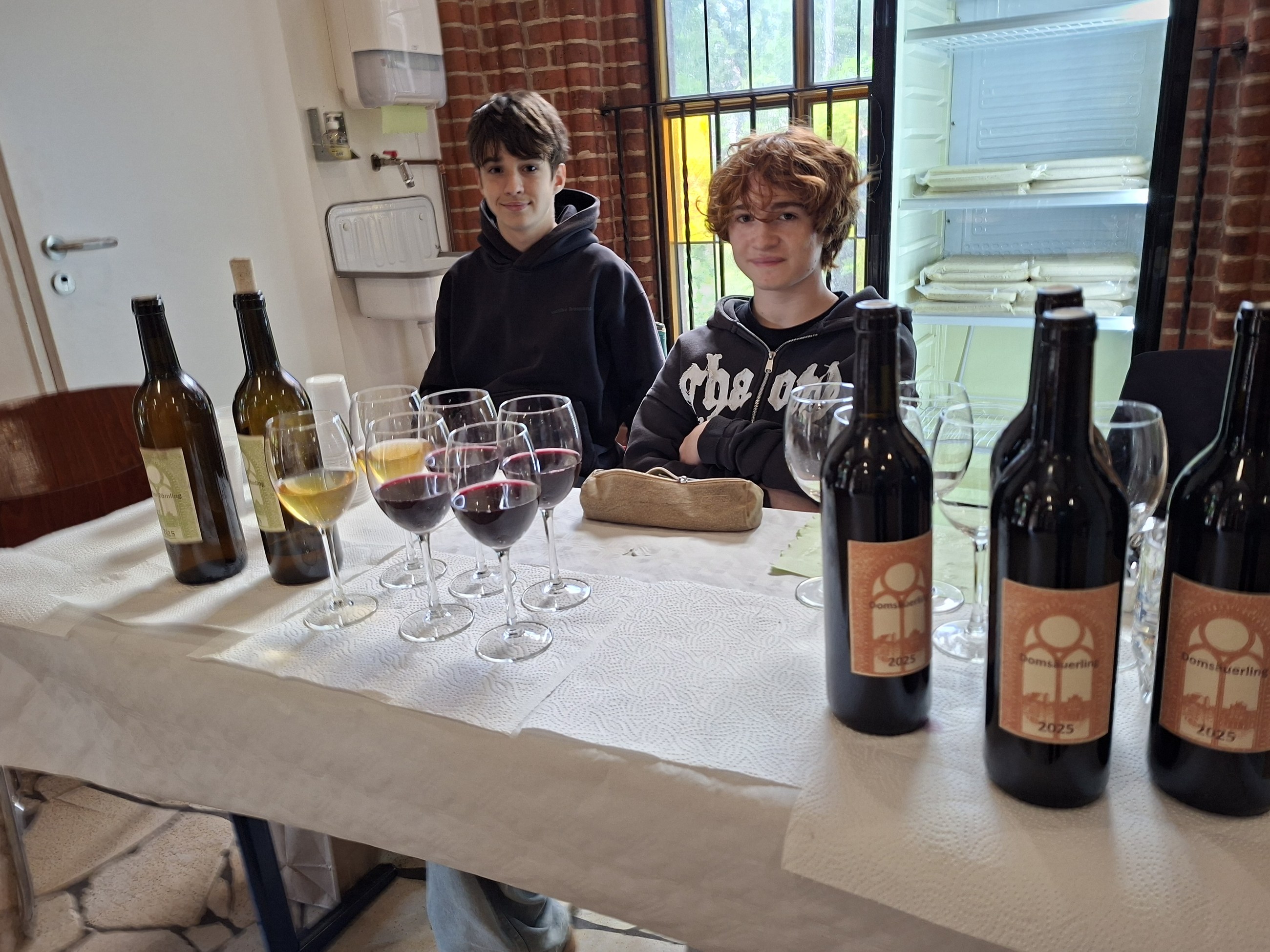 Weinbau